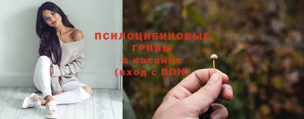 мяу мяу кристалл Арсеньев