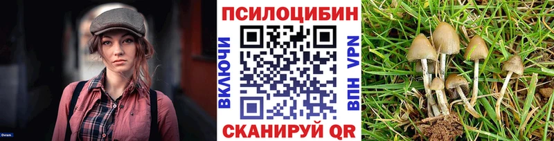 где продают   Саки  Псилоцибиновые грибы прущие грибы 